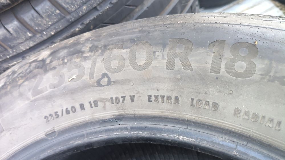 Шины континента ль лето