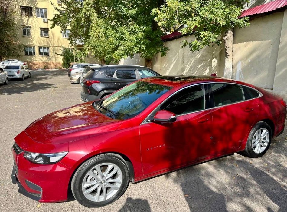 Malibu Срочно! Любимую красавицу! Цена снижена