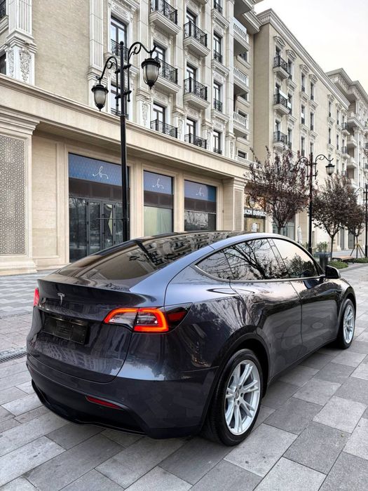 Tesla model Y ideaal