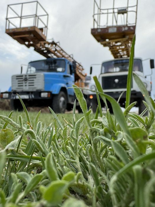 Автовышка АГП услуга