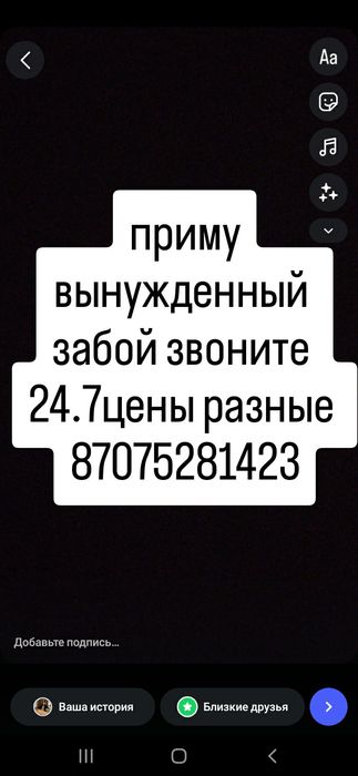 Телята телята телята