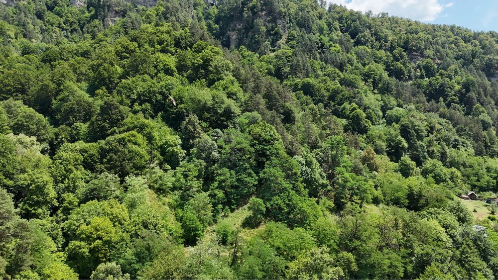 Teren intravilan Brezoi