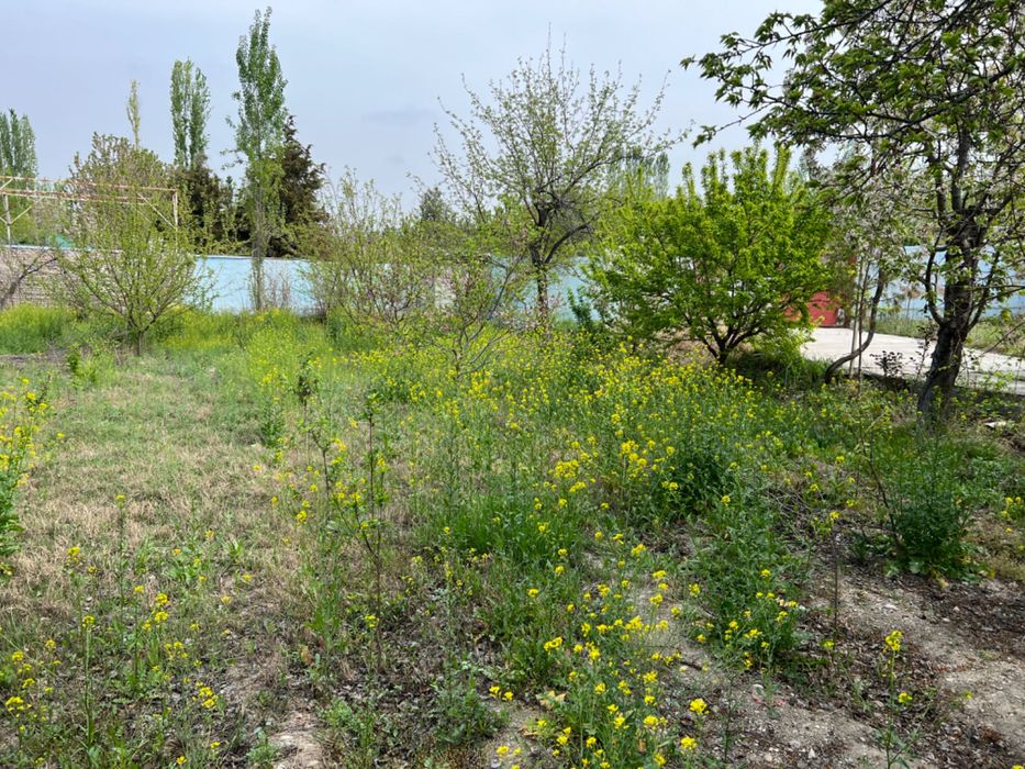 Готовая дача всеми условиями. Таёр дача