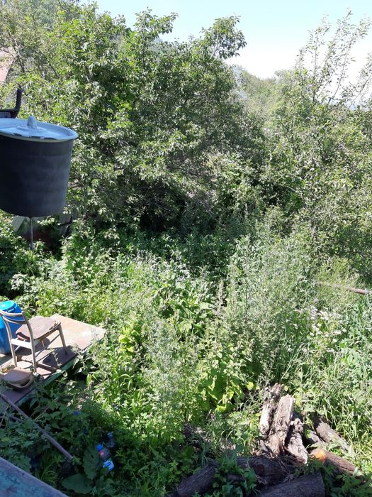 Продам Срочно Дачу в Кенсаи