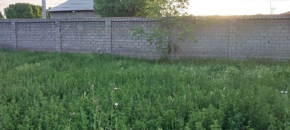 тезда сотамиз участкамиззи