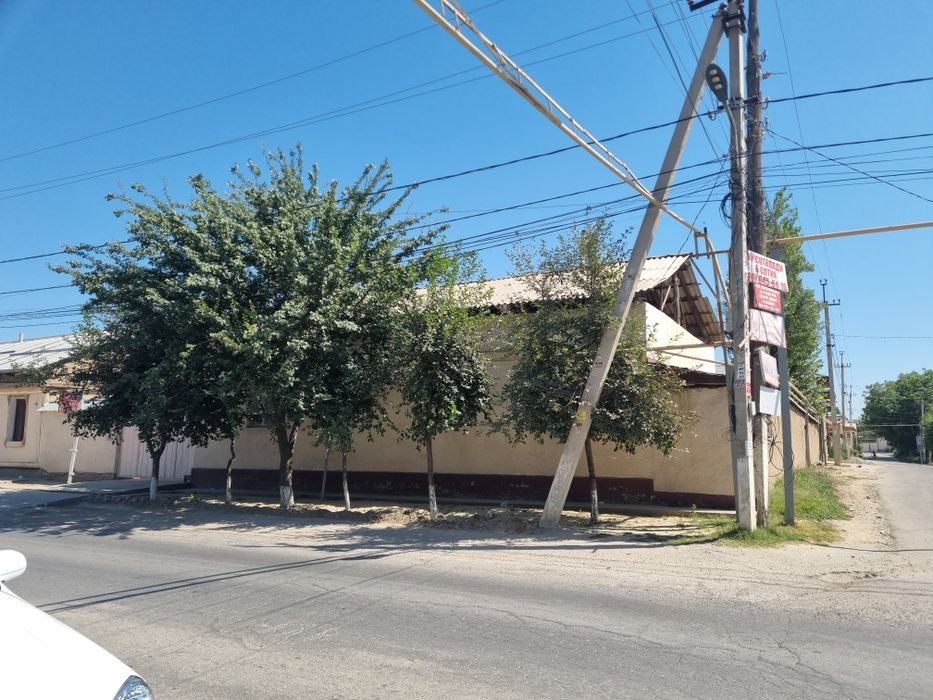 Nazarbek most dan 8-kilametr sro'chna