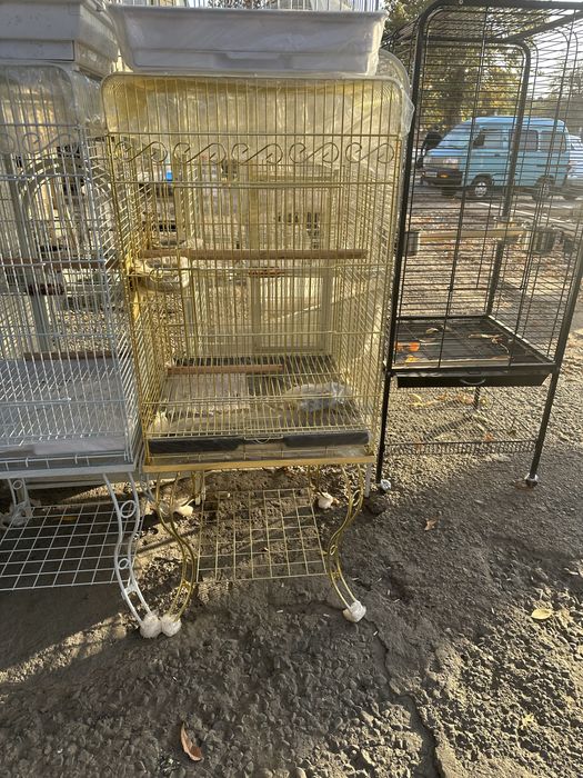 qafalar xarhil turdagi qushlar unchun