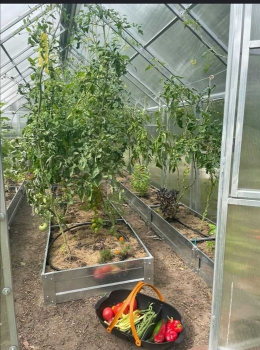 Теплица из поликарбоната!!!