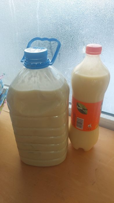 Тары бозасы  бағасы 600