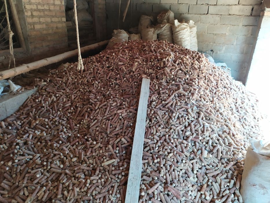 Oʻtin oʻtin Makkajoʻxori pangʻalogʻi oʻtini sotiladi