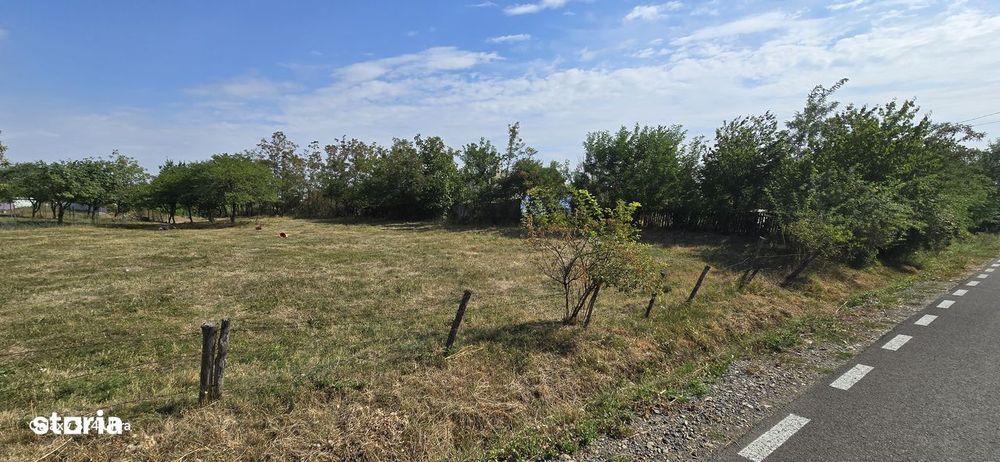 Terenuri in Cucorani sau padure