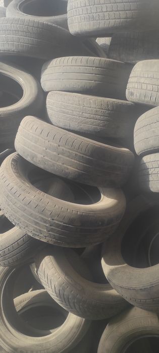 1000 ta yaroqsiz bolon