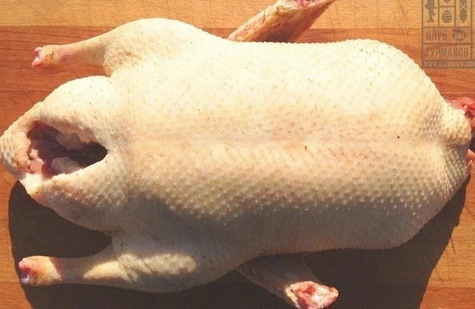 Шикарные крупные тушки гуси