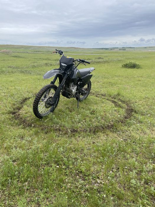 продаже улар н7 в бектауе