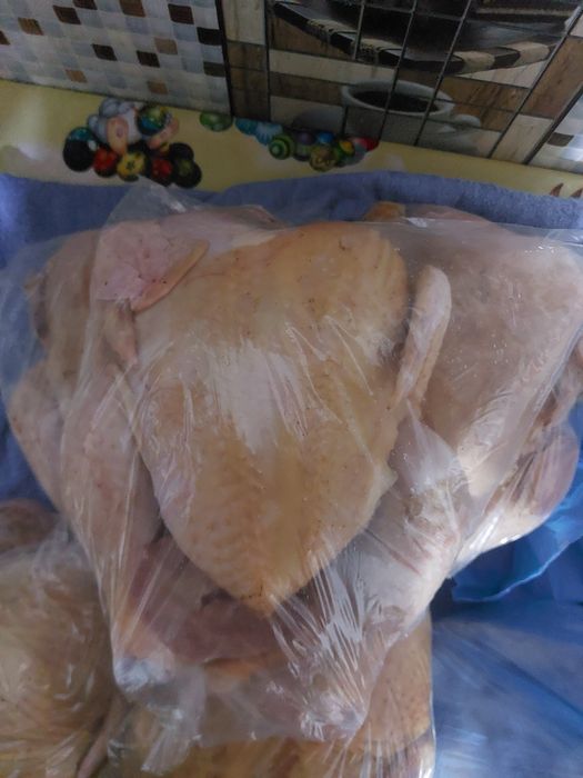 Vand pui albi de carne!