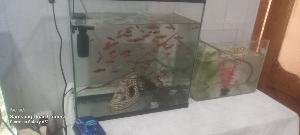 Продам аквариумы качественные