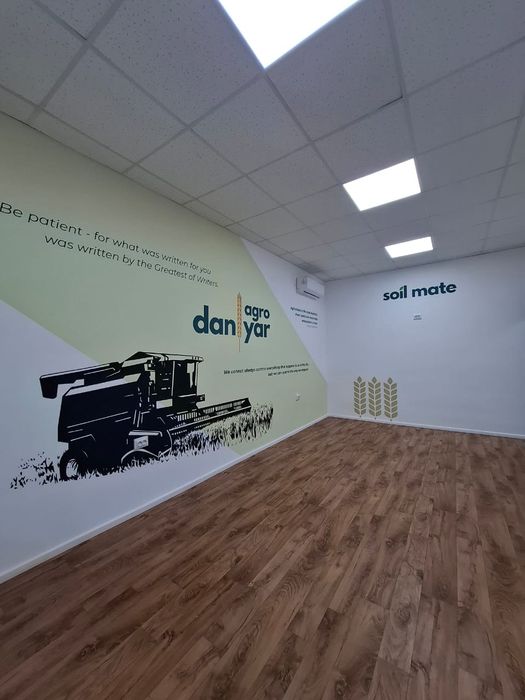 Роспись стен. Художник. Петропавловск