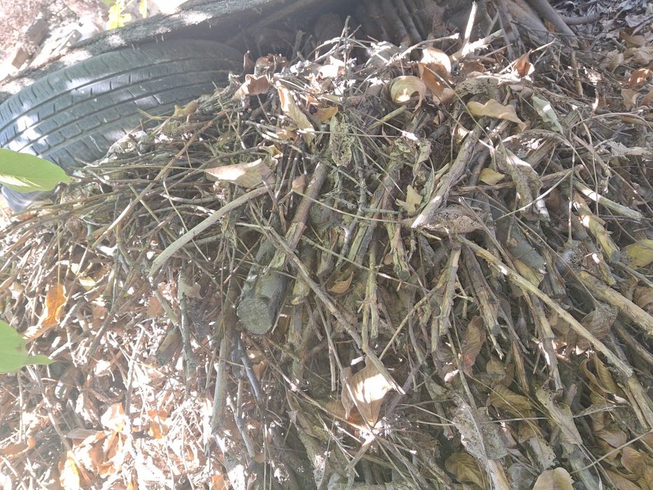 Дрова в мешках для шашлыка и бани