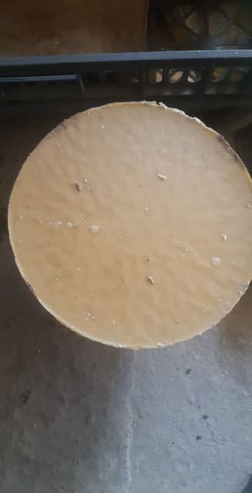 Familia albine, miere,apicole