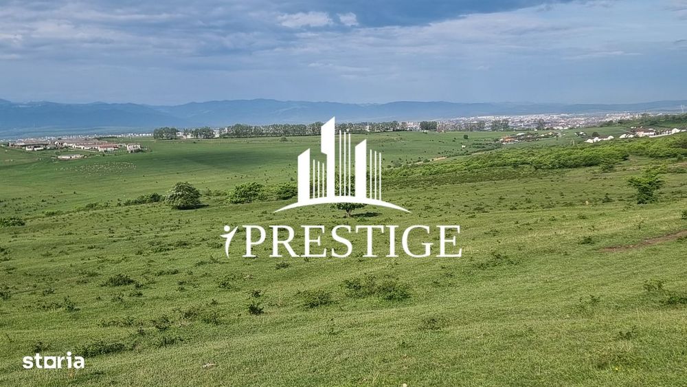 Teren  Extravilan 2000 Mp În Daia - Bavaria | Dealul 2 | Doar 15€/Mp