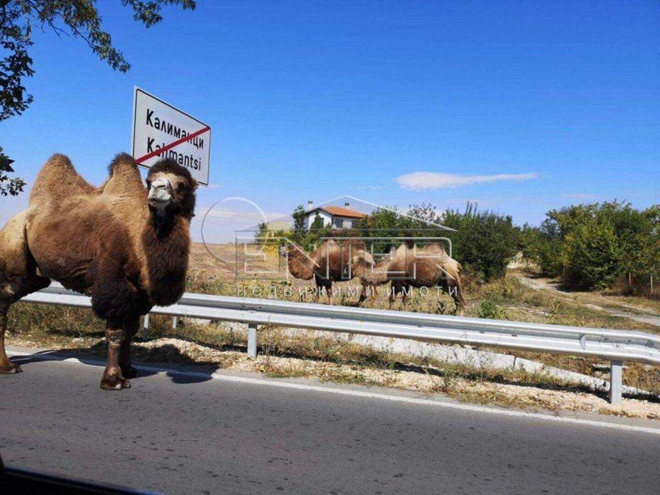 Продава се Къща в с. Калиманци, Област Варна - 100 кв.м за 1500 €/кв.м - Снимка #9