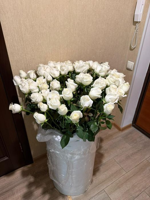 Продам цветок роза