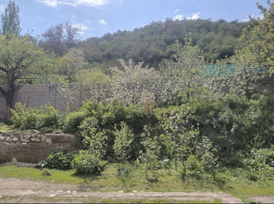 Чимёнда  5 соток  дача сотилади !!!  Сув, свет, централь  канализация.