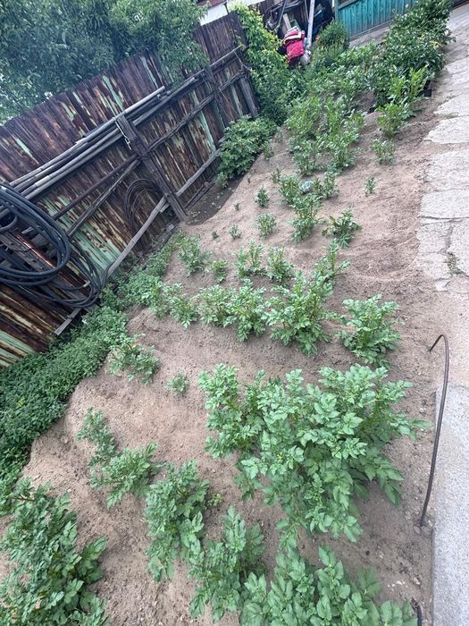 Продам частный дом