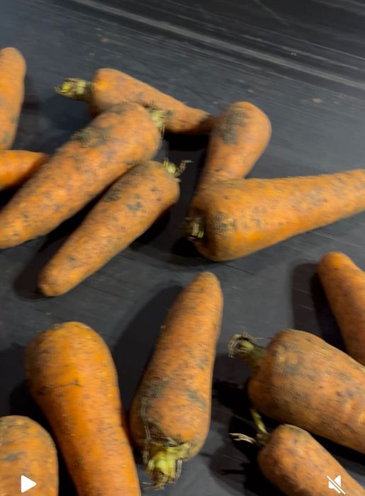 Продам морковь оптом