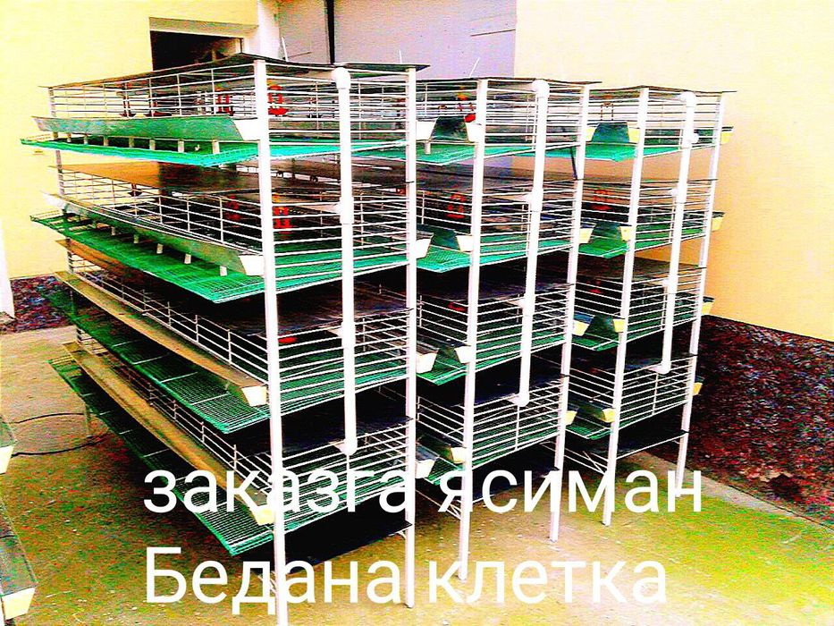 Бедана кафас ин катак сотилади