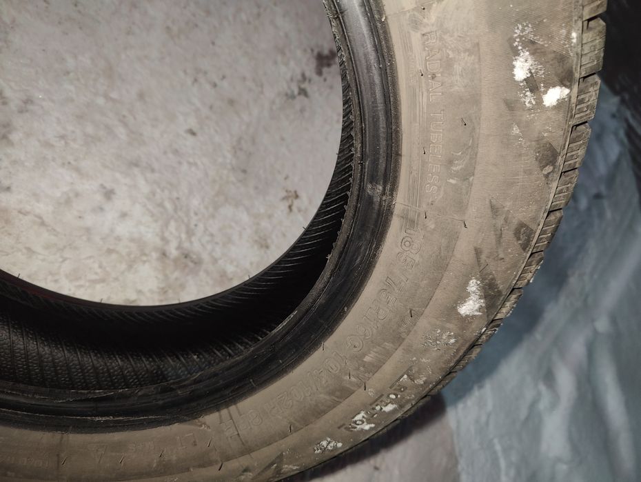 Газельге кыскы донгалак