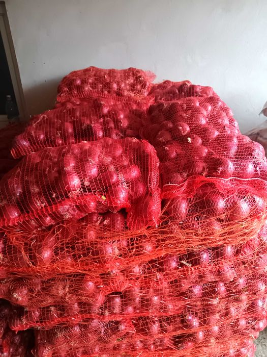 Ceapă roșie la plasă 10 kg și 5kg