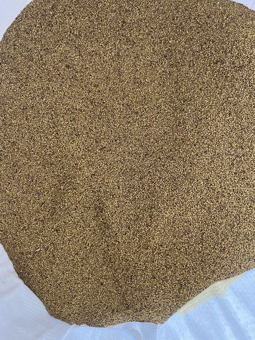 жоңышқа ұрық  (люцерна)