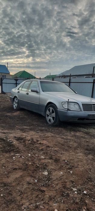 Продам кабан срочно