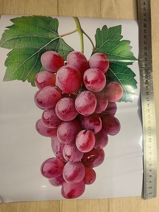 Наклейка винограда