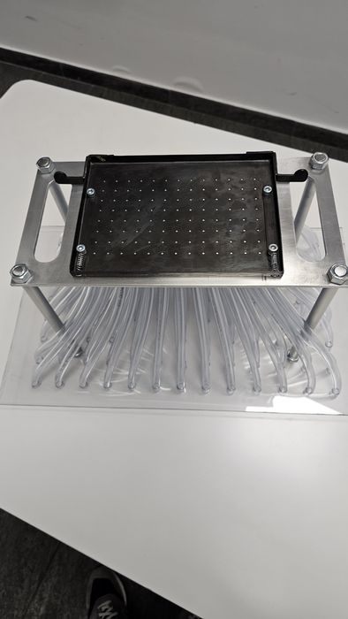 Semanatoare universala legume (varză/conopida/ridiche)pentru alveole