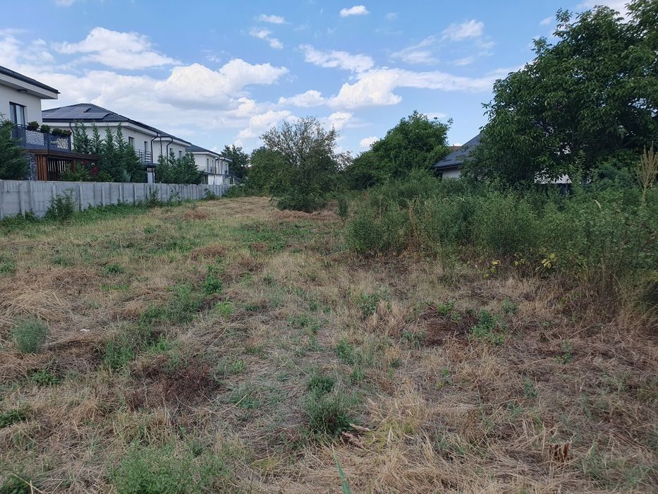 Teren Dragomiresti Deal