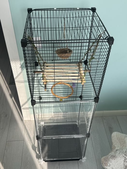 Волнистые попугаи с клетками