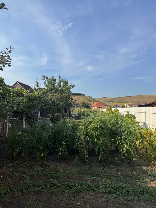 Casa cu gradina de vanzare in Viisoara,sau schimb Apartament Cluj