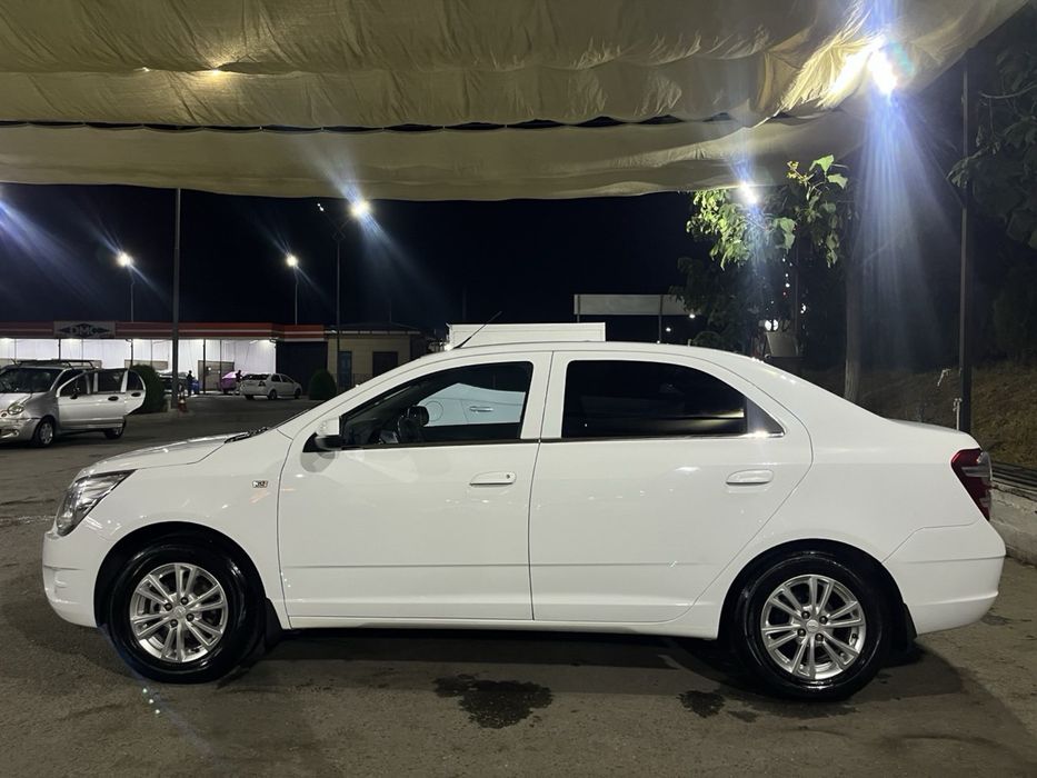 Oq Cobalt 2022 ideal