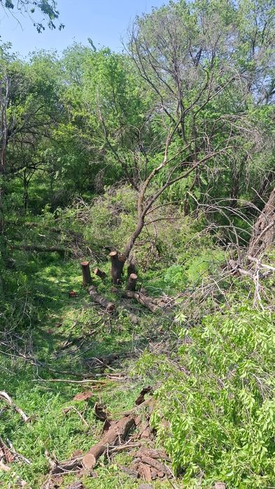 Продам земельный участок