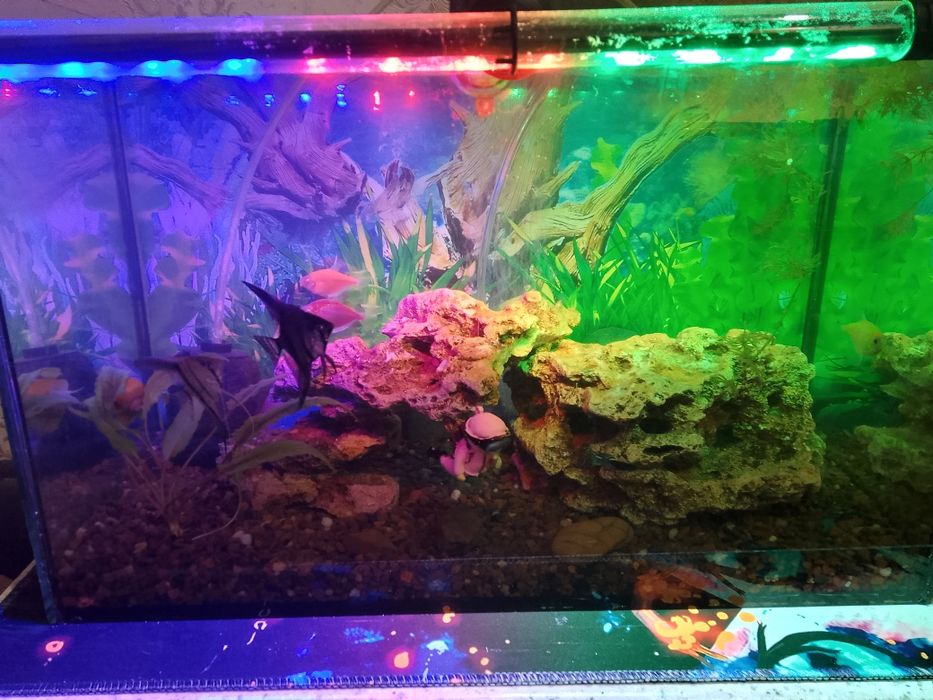 Продам Аквариум 25л.С рыбками.