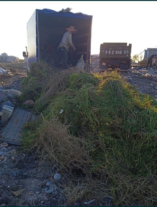 Вывоз мусора любого типа.24/7 - Вывоз мусора / снега Алматы на Olx