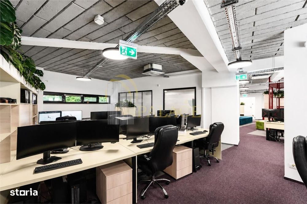 Office Premium de Inchiriat | 265 mp | La Suite Copou