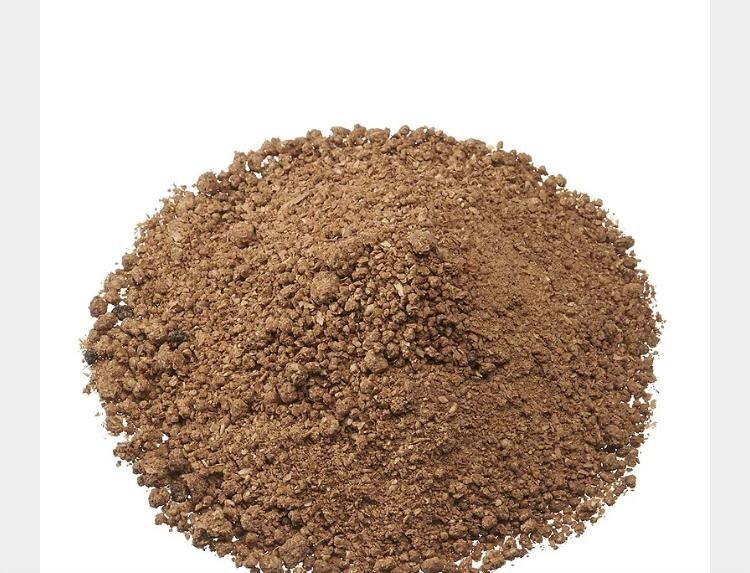 Пшеница.Платный чат!Все корма