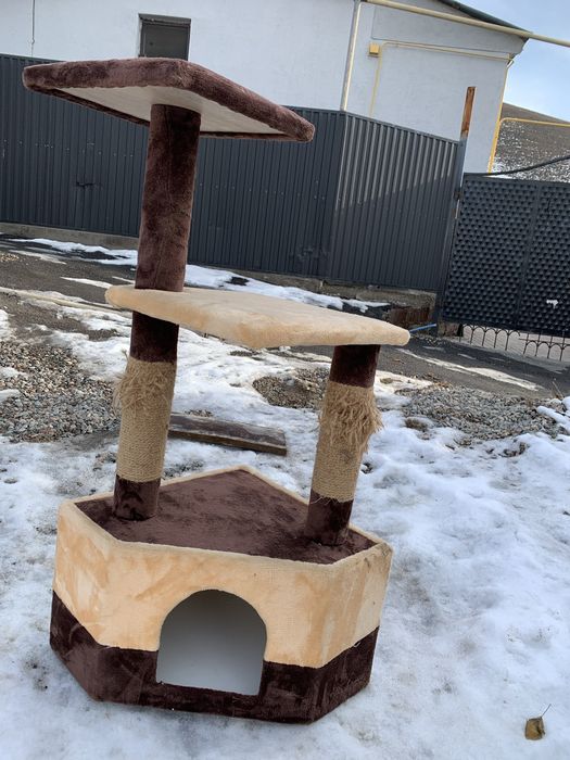 Домик для кошки! Игрушка! Переноска!