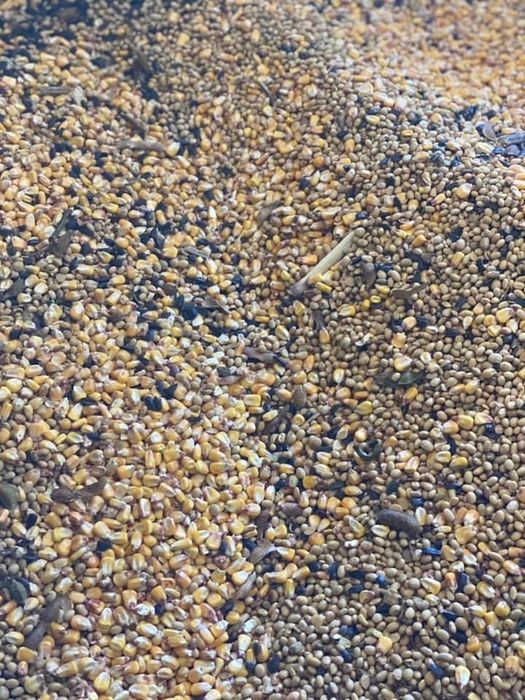 Faina furajera din mix de cereale ambalate