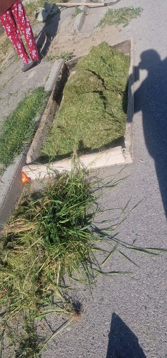 Шөп, тегін. Самовывоз. Гпзонокосиокадан