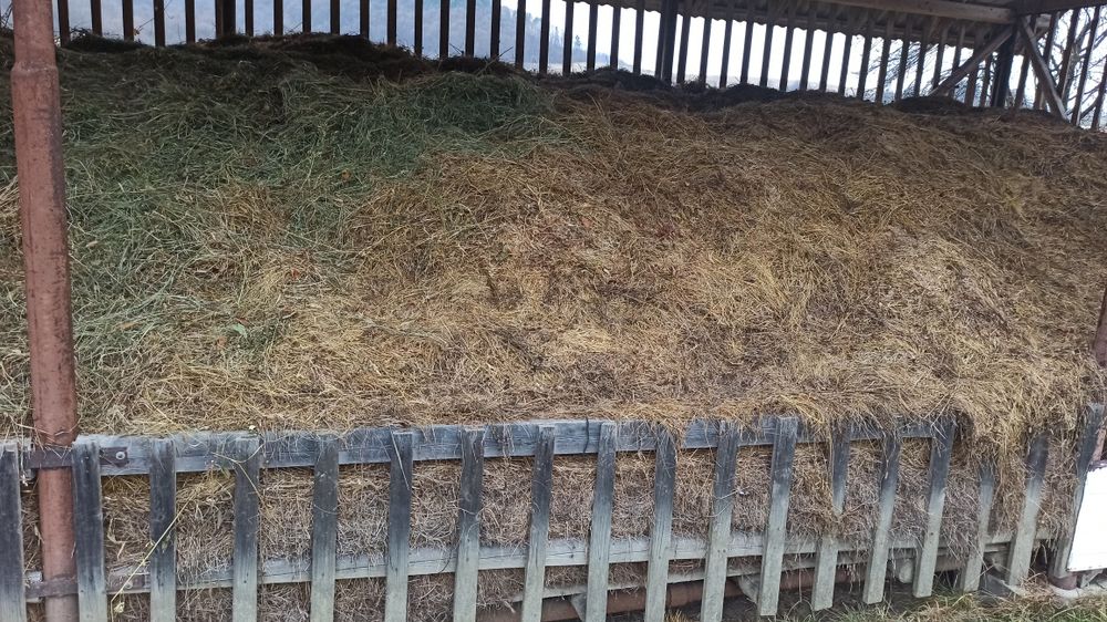 Fân și otavă din grădina casei!