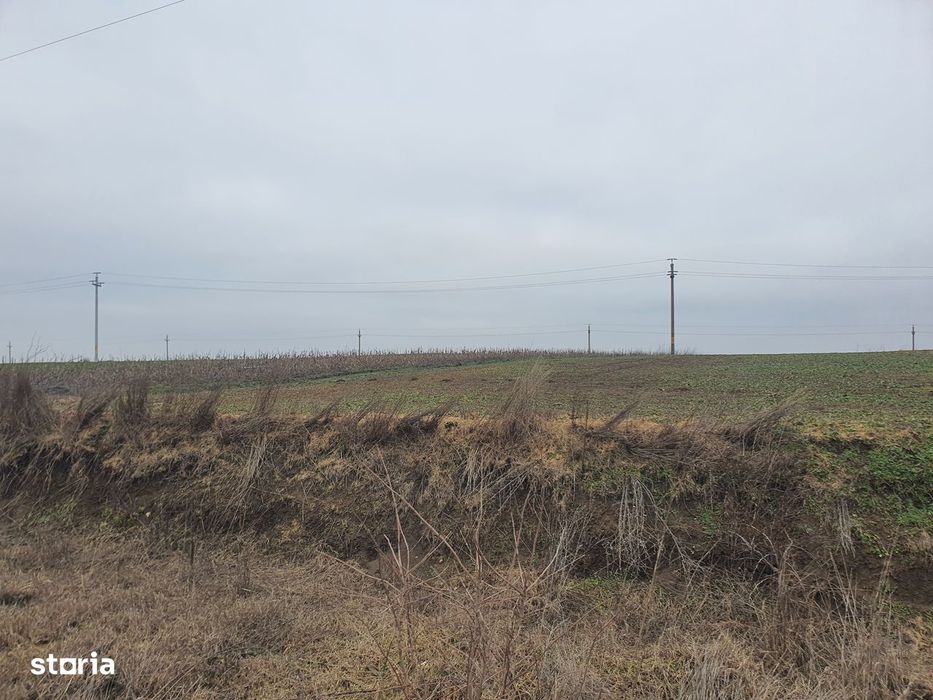 Teren agricol de vânzare, 140.000 mp , Albesti- Constanta